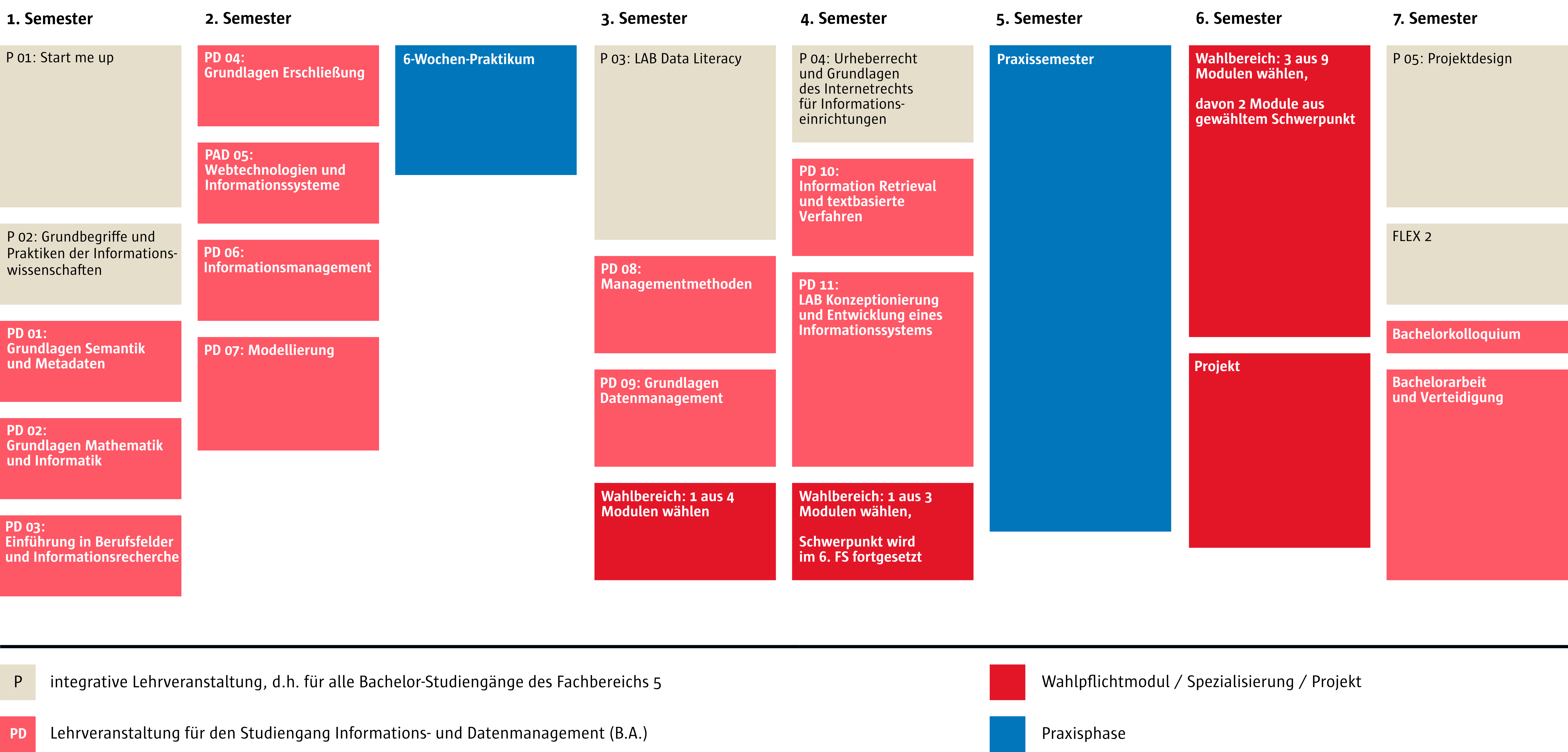 Studienplan IuD